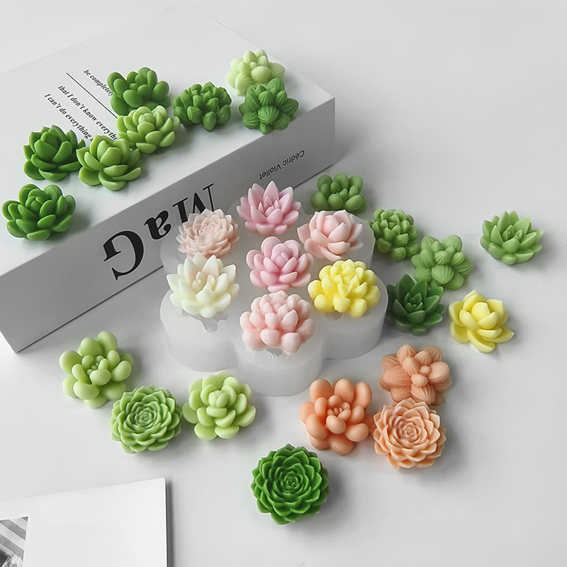 7-in-1 succulenten cactus sili - Soap Making Home recensie en prijs